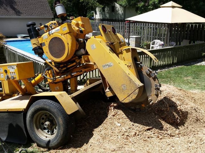 stump-removal-service-indiana