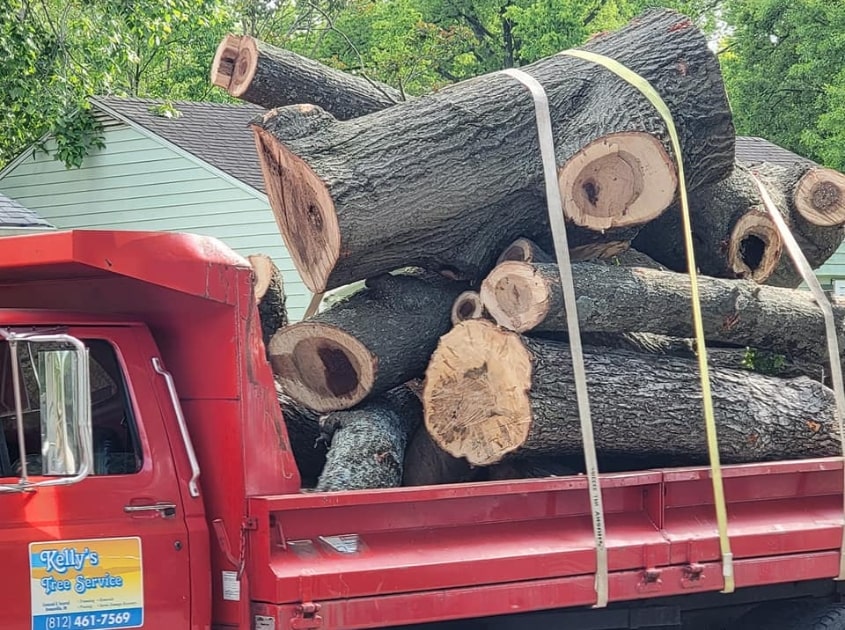 tree-cutting-service-newburgh-in